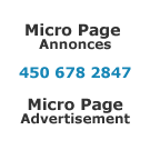 Micro Page Annonces